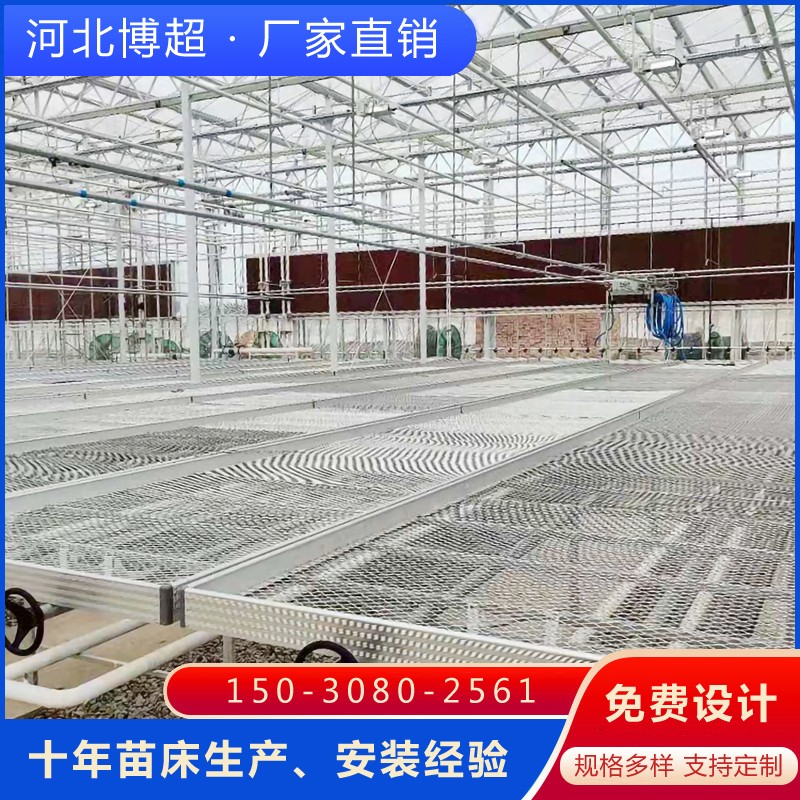 䓰�W(w��ng)Ƭ�Ƅ�(d��ng)�紲