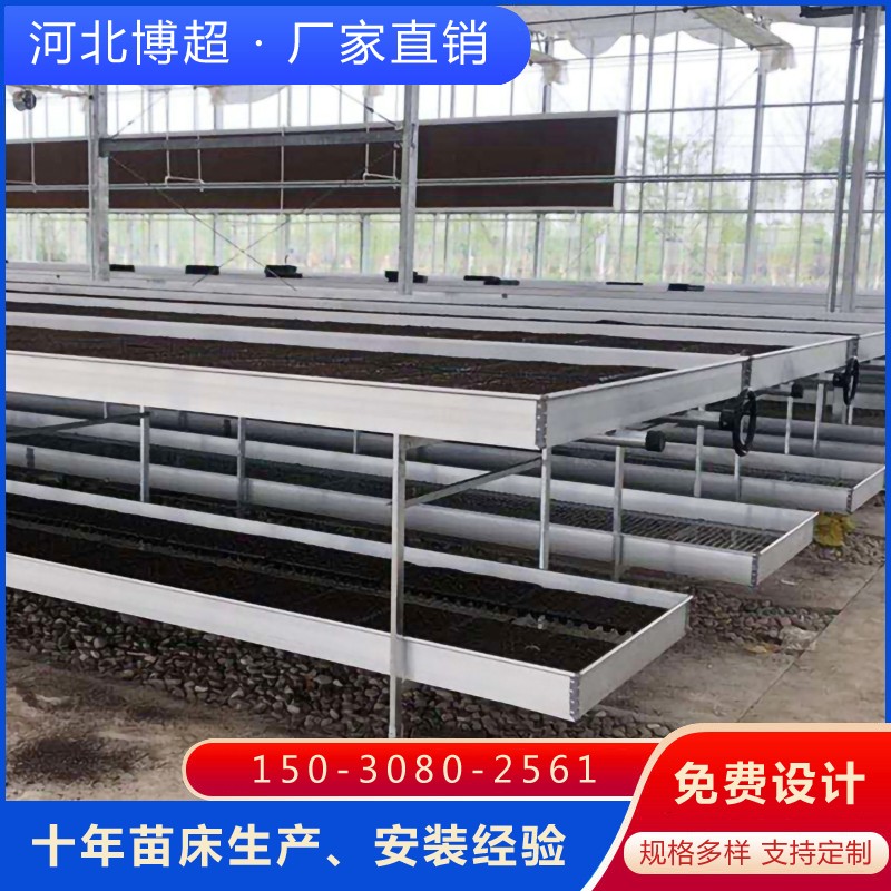 ����\�W(w��ng)Ƭ�p���Ƅ�(d��ng)�紲