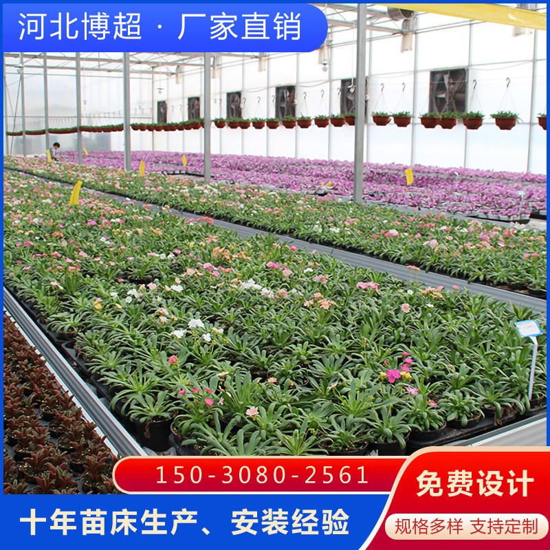 �������紲