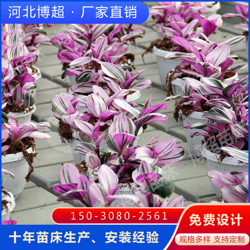 1-210H3113200103.jpg 1-210H3113200103.jpg