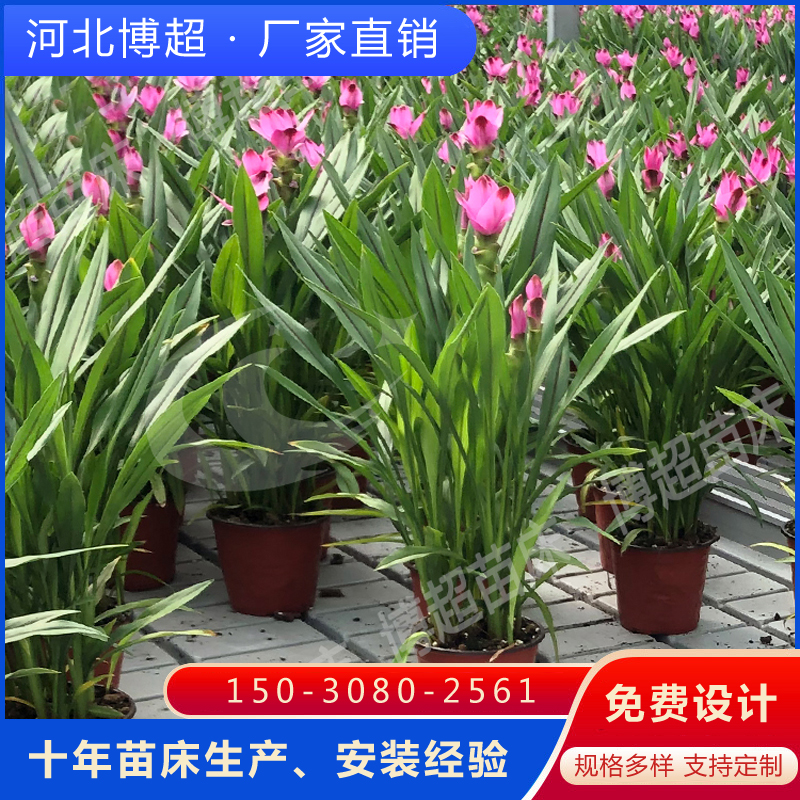 1-210H3113203592 (1).jpg 1-210H3113203592 (1).jpg