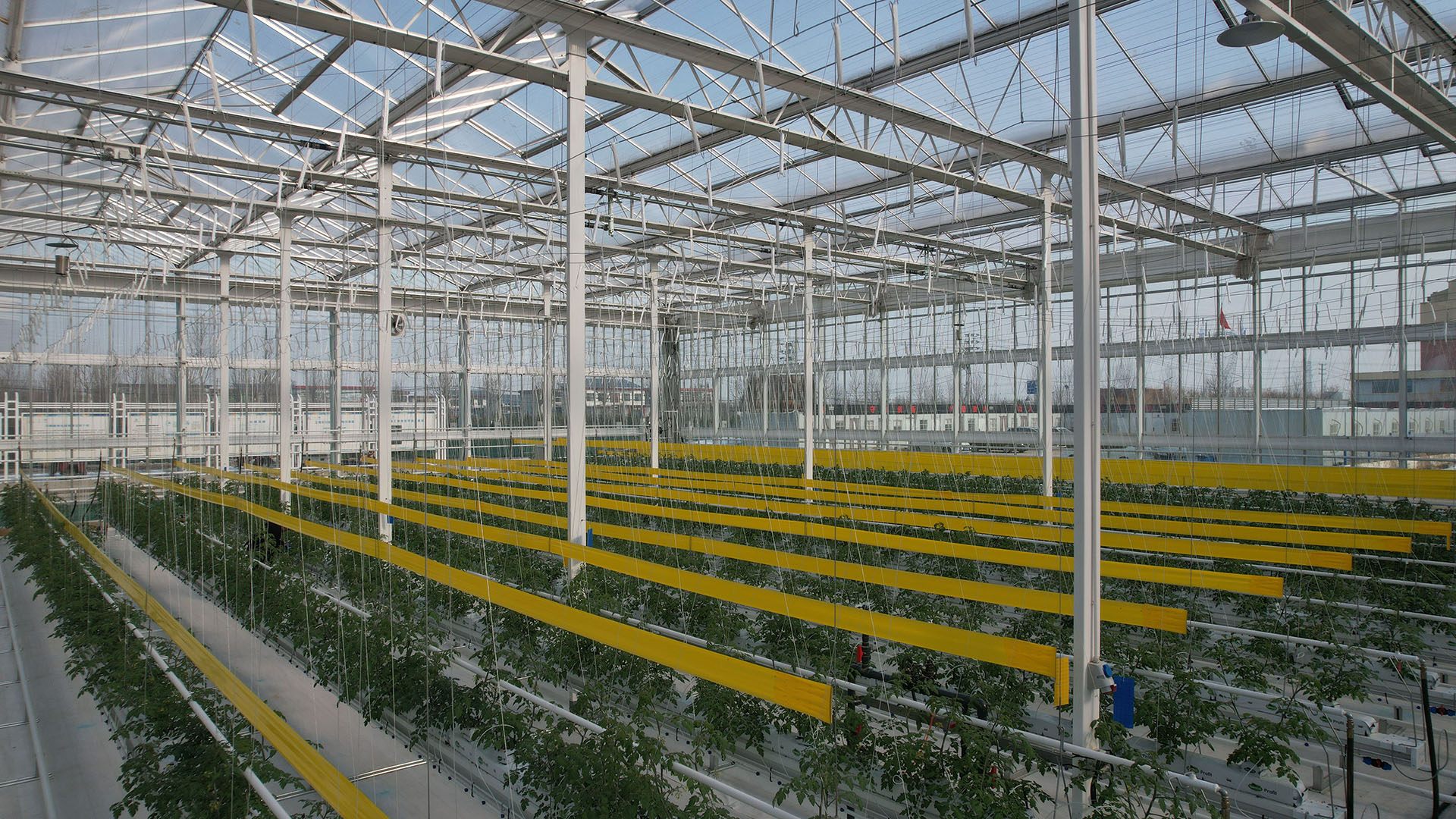 2023�?0�?�����Q�� �Ғ�ʽ����� 10.5�fƽ .jpg