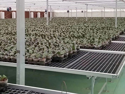 ���ϾW(w��ng)Ƭ�Ƅ�(d��ng)�紲