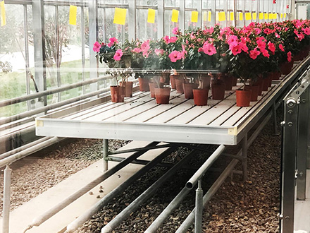 ��ϫ��P�����紲